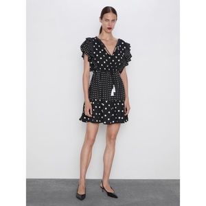 Zara Polka Dot Dress